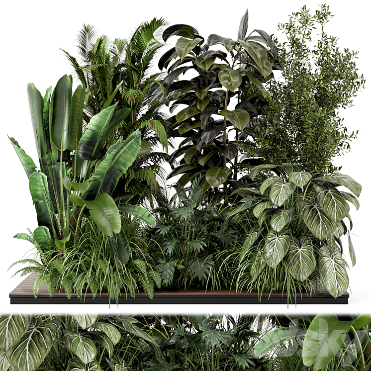 绿植盆栽花盆盆景_37_de2bc8d1a31b