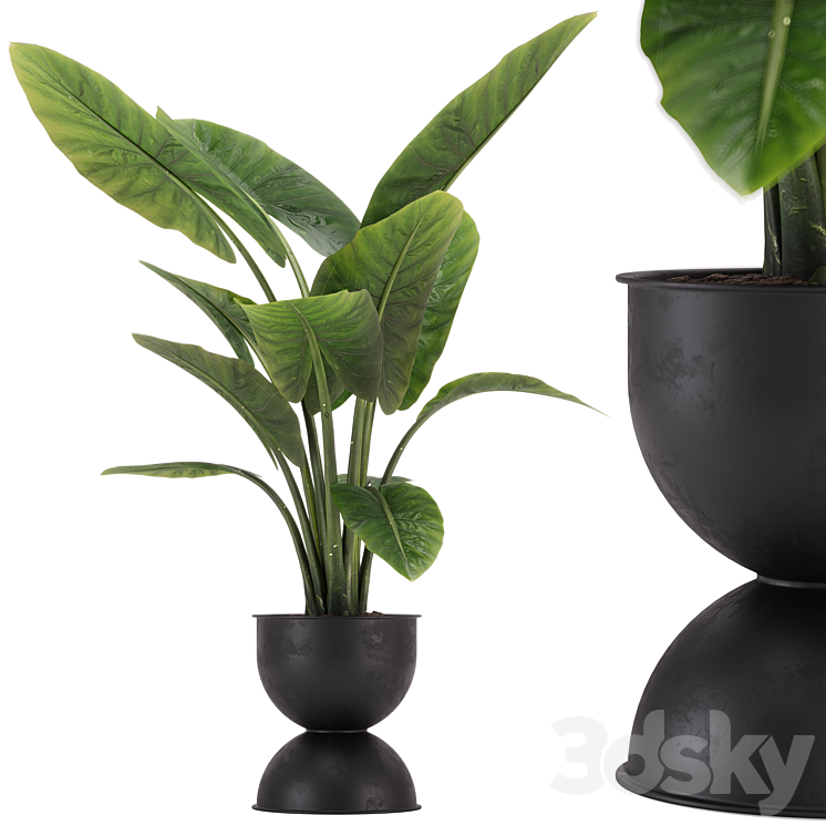 绿植盆栽花盆盆景_47_6635c884c951