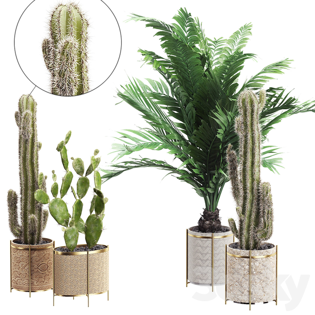绿植盆栽花盆盆景仙人球仙人掌_89_921819fda5ff