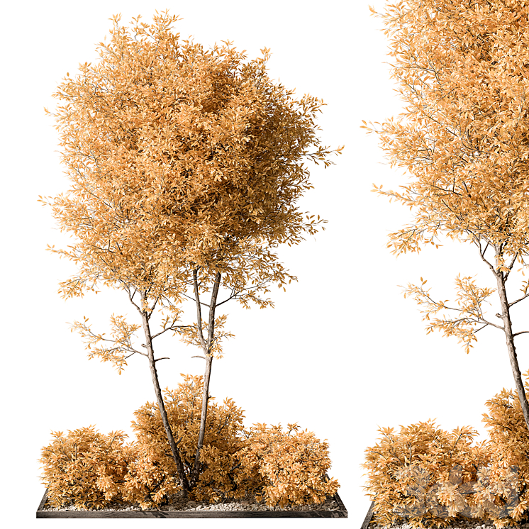 造景植物群树乔木绿植盆栽花盆盆景_55_1923cac1ce4f