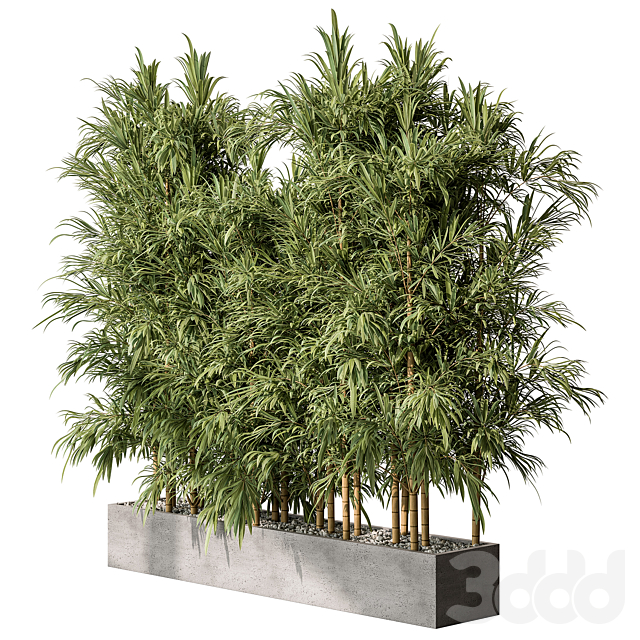 造景植物群绿植盆栽花盆盆景_49_bb1125b912de