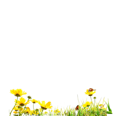 00002380_c7076dfbdd2b.png