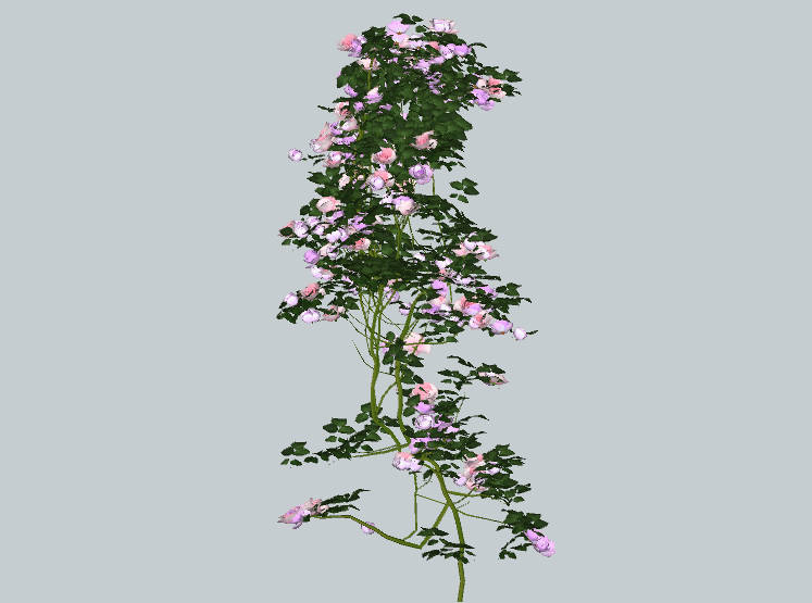 蔓藤花_ed81833c287f.skp
